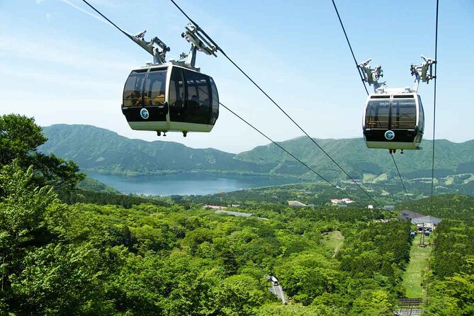 1 Day Private Tour in Mt.Fuji and Hakone English Speaking Driver - Cancellation Policy