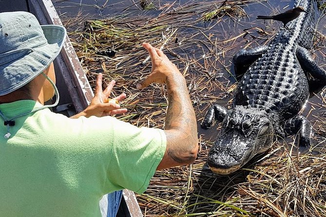 1-Hour Air Boat Ride and Nature Walk With Naturalist in Everglades National Park - Transport and Logistics