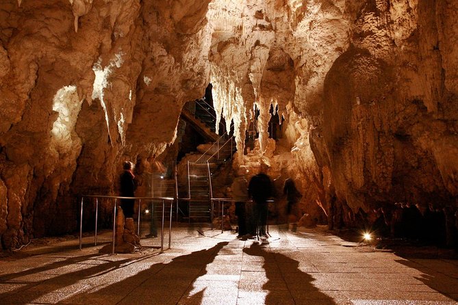 1-Hour Guided Tour of Aranui Cave Waitomo - Cancellation Policy and Customer Reviews