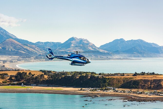 1-Hour Guided Whale Watching Premier Tour in Kaikōura - Customer Reviews