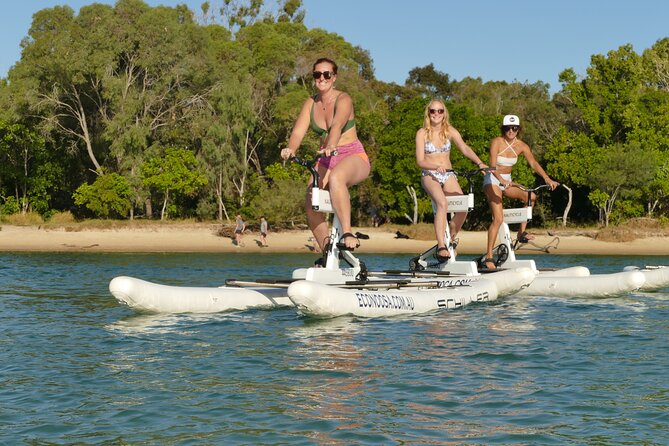 1 Hour Self Guided Water Bike Tour of the Noosa River - Group Size and Itinerary Options