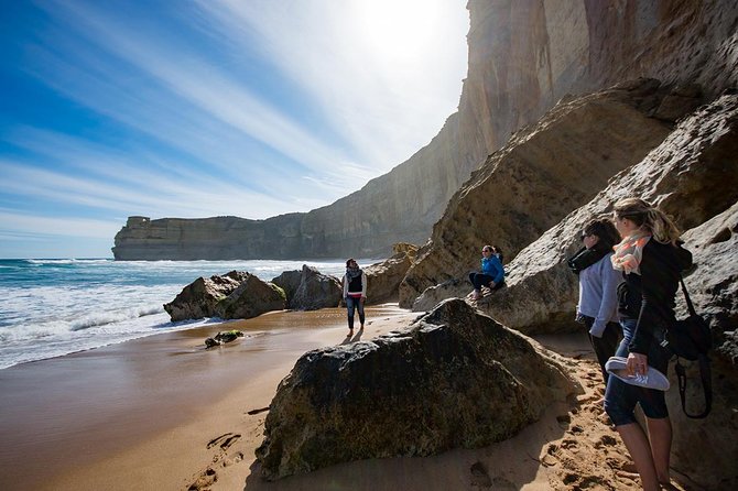 12 Apostles Great Ocean Road Eco Tour With Lunch From Melbourne - Cancellation Policy Details