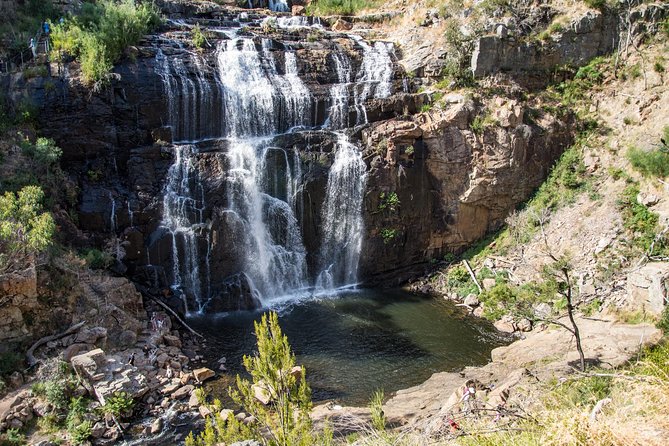 2-Day Great Ocean Road and Grampians Tour Roundtrip From Melbourne - Booking Information