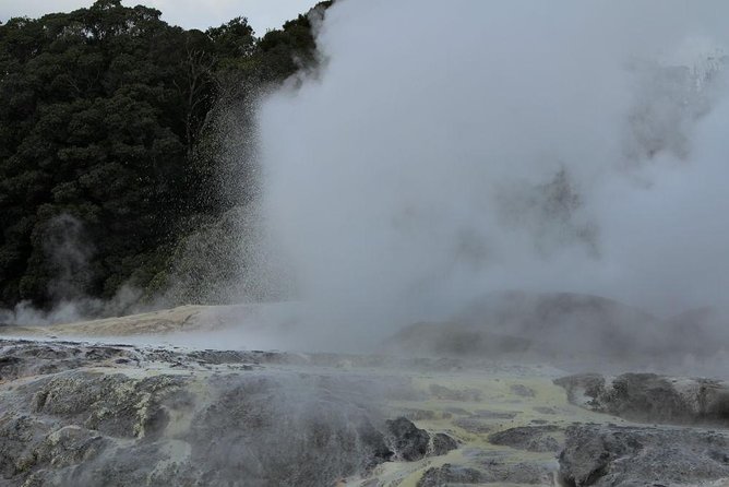 2-Day Hobbiton, Rotorua, Waitomo Caves Tour From Auckland With Accommodation - Customer Reviews