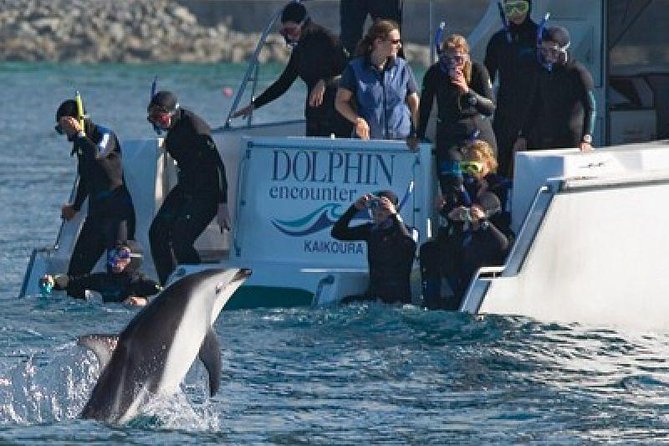 2 Day Kaikoura Whale and Dolphin Tour From Christchurch - Inclusions