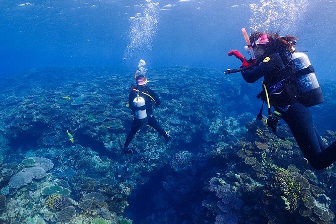 2-Day Private Deluxe Certification Course for Scuba Diving - Cancellation Policy