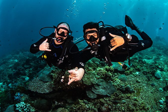 2 Days Discover Scuba Diving in Nusa Lembongan - Scuba Initiation - Important Precautions and Recommendations