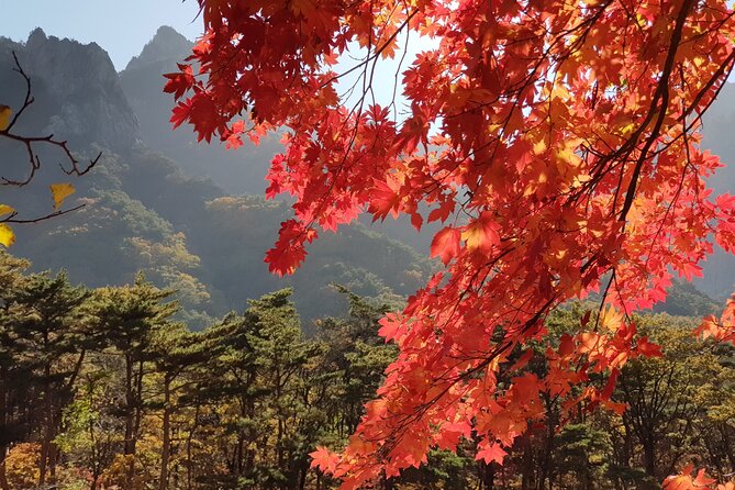 2 Days Private Tour : Mt Seorak & Naksansa Temple & Nami Island From Seoul - Transportation Details