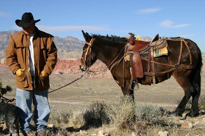 2-Hour Horseback Riding Through Red Rock Canyon - Customer Reviews and Overall Experience