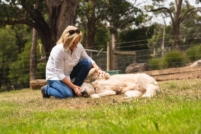 2 Hours Farming Activity in Mornington-Flinders With Lunch - Accessibility and Expectations