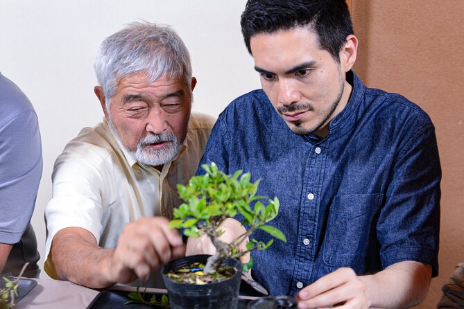 2Days-Bonsai & Sencha Tea Experience: Pastime of the Literati - Sencha Tea: Origins and Traditions