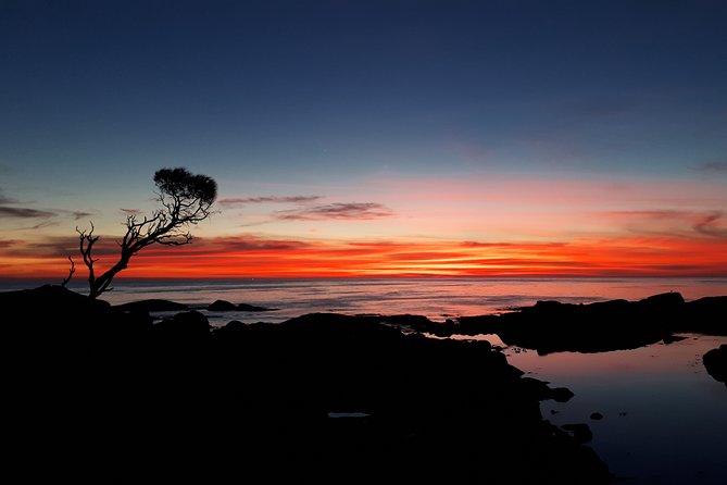 3-Day Bay of Fires Photography Workshop From Hobart - Pricing and Policies