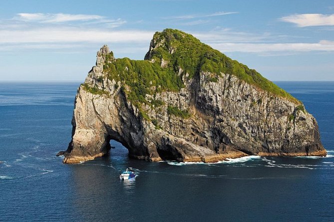 3-Day Bay of Islands Tour From Auckland - Customer Reviews