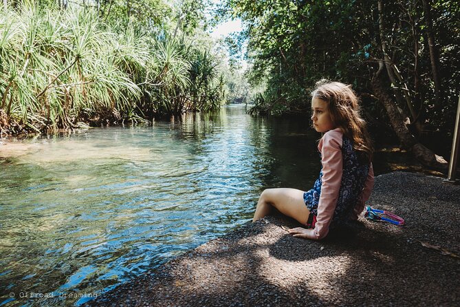 3-Day Tour of Top End Highlights in Northern Territory, Australia - Day 3: Experience Litchfield National Park