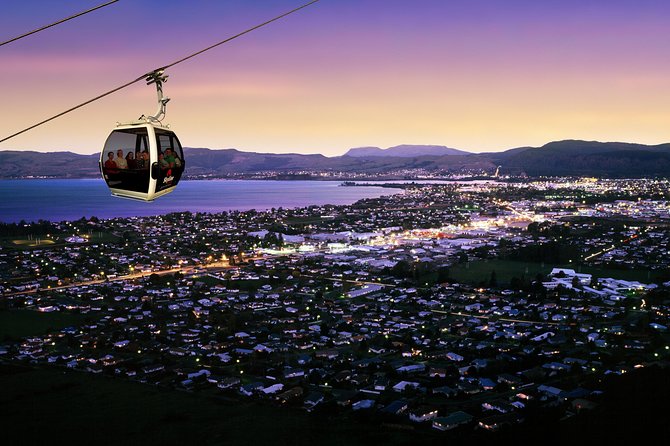 3-Day Wellington to Auckland Tour - Customer Reviews
