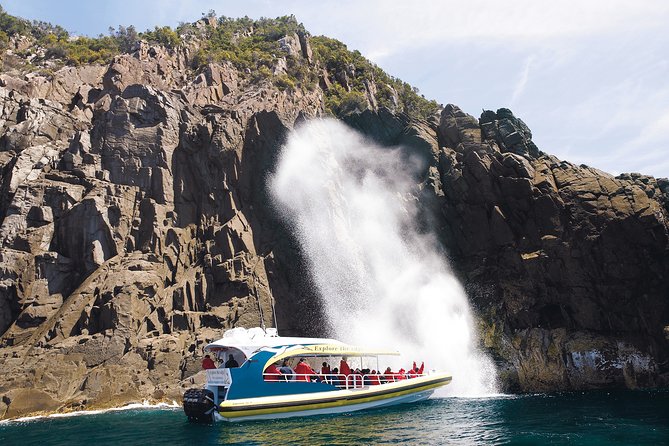 3-Hour Bruny Island Cruise From Adventure Bay, Bruny Island - Logistics and Meeting Details