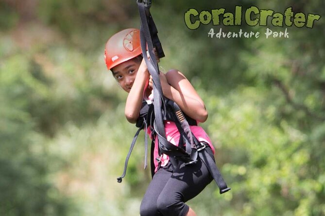 3 Zipline Tour Oahu (1 Hour) - Traveler Reviews