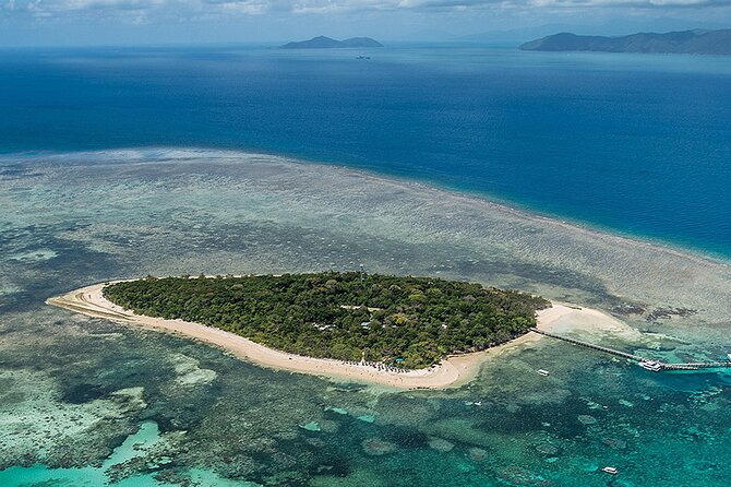 4-Day Cairns With Great Barrier Reef and Daintree Rainforest - Customer Reviews and Ratings
