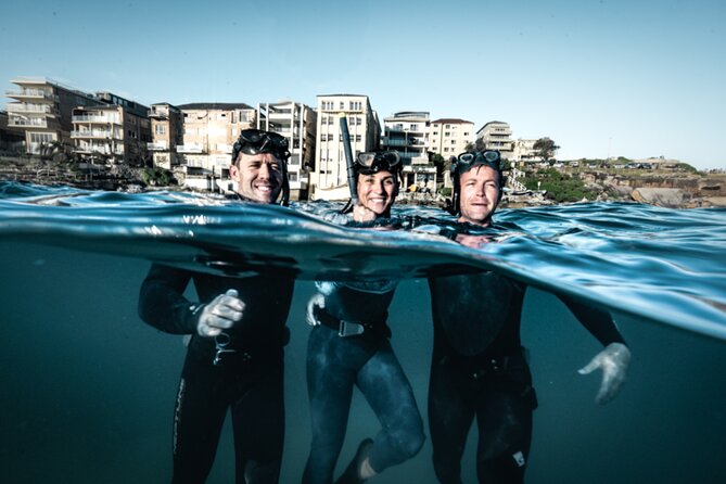 4-Hour Freediving Taster Experience at Shelly Beach, Manly - Additional Information for Participants