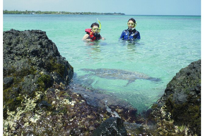 4-hour Kailua-Kona Ocean Kayak and Snorkel Tour - Booking and Policies