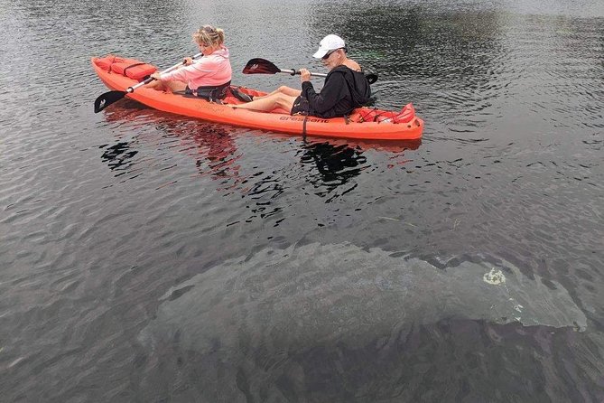 4 Hour Tandem Kayak Rental For Two People In Crystal River, Florida - Logistics