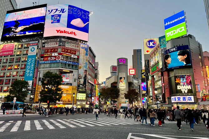 4 Hours Private Walking Tour in Tokyo - Customer Reviews and Ratings