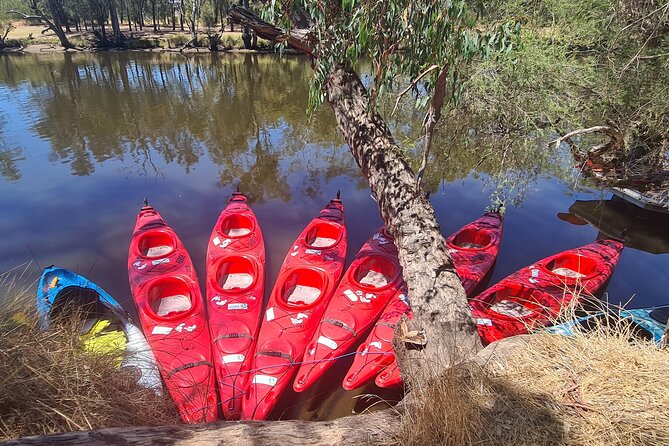 4 Hours Swan Valley Kayak, Wine & Dine Experience - Indulge in Woodfired Pizzas