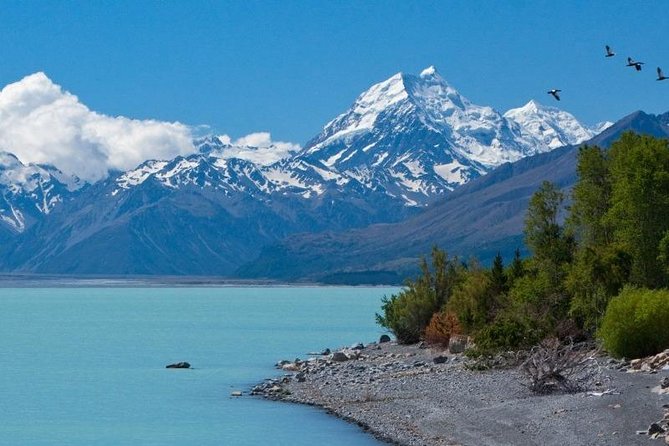5-Day South Island Tour From Christchurch - Scenic Routes and Experiences