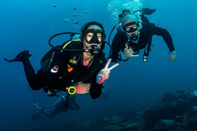 5 Fun Dives in Pemuteran (For Certified Divers) - Exploration in Menjangan Park - Common questions