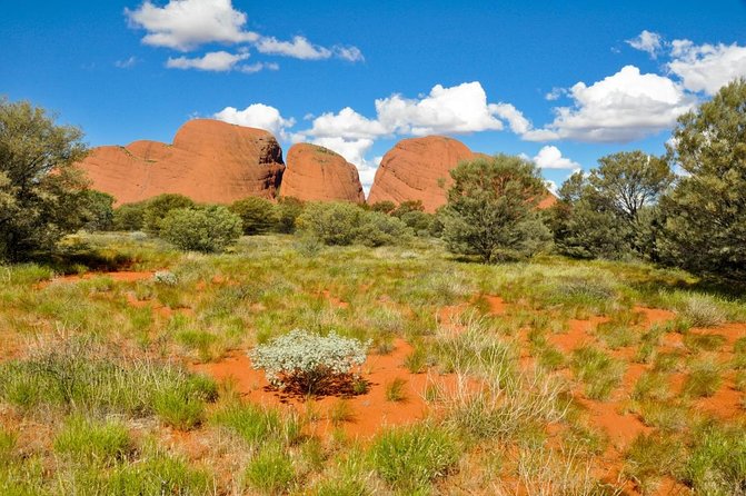 7-Day Guided Tour of Alice Springs With Accommodation Included - Pickup and Transportation
