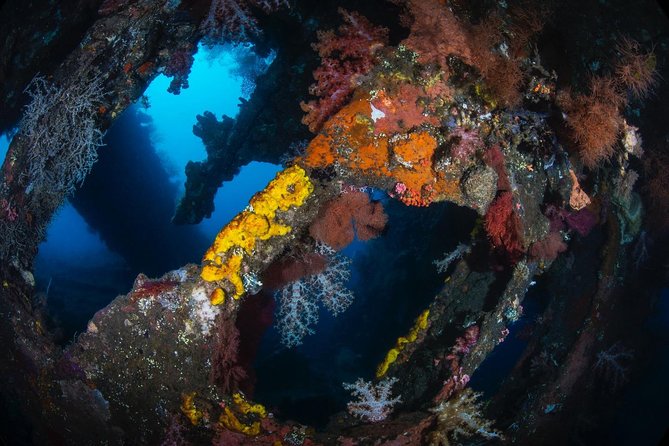 7 Fun Dives in Tulamben (For Certified Divers) - Premium Value Package - Dive 4: Drop-Off Drift Dive