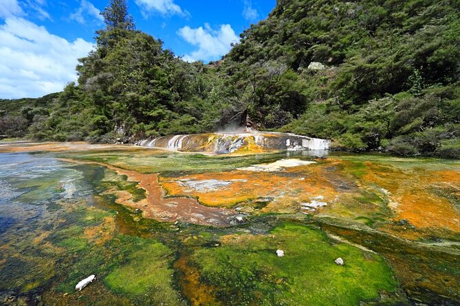7hr Waimangu Geothermal Valley & Lake Rotomahana Tour - Departs Tauranga - Booking Information