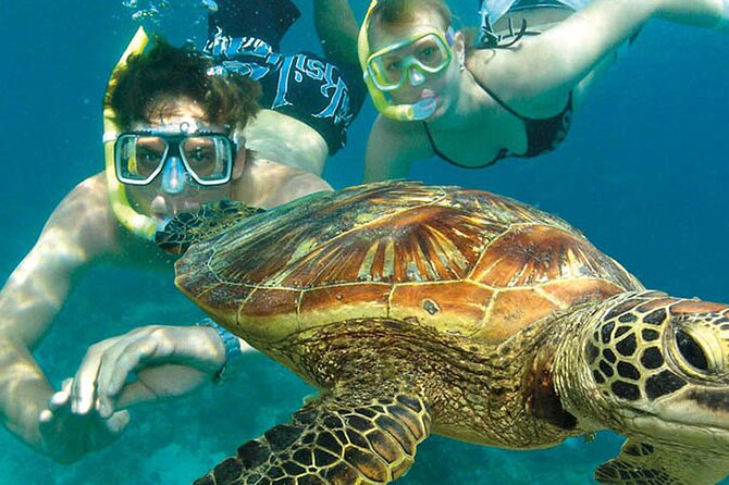8-Day Cairns Tour: Great Barrier Reef, Kuranda, Daintree Rainforest - Detailed Itinerary and Activities