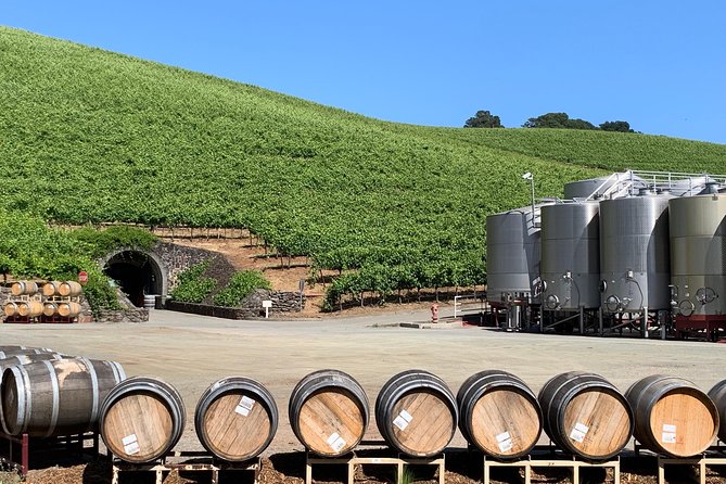 8-Hour Private Sonoma or Napa Wine Tour With Concierge Service - Customized Itinerary Features