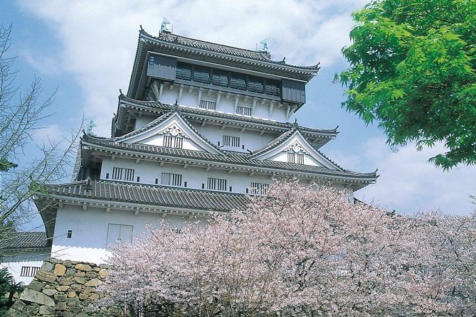A Day Charter Bus Tour Around Cherry Blossoms in Northern Kyushu - Scenic Stops and Photography Opportunities
