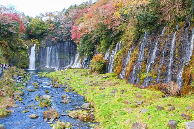 A Trip to Enjoy Subsoil Water and Nature Behind Mt. Fuji - Accommodations and Amenities