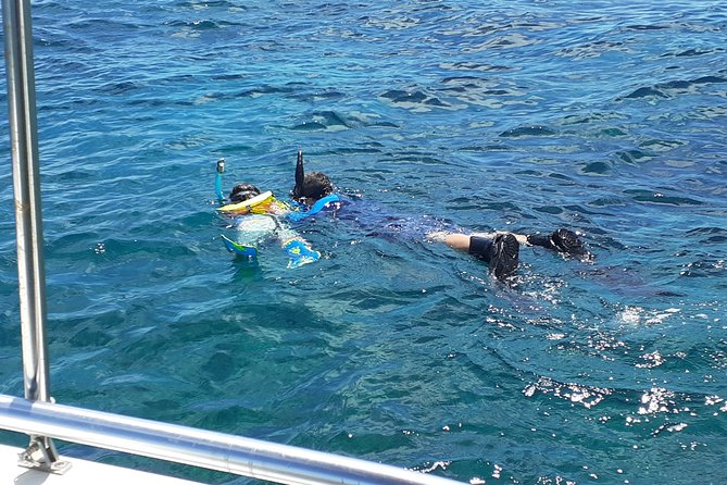 A Unique Private Snorkel Tour of Key Largo - Recommendations