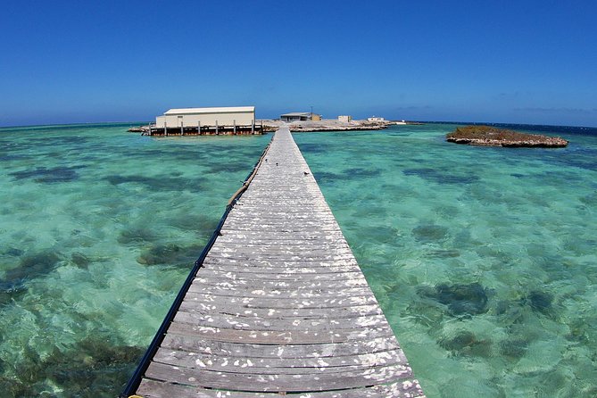 Abrolhos Islands 5 Day Cruise - Onboard Activities