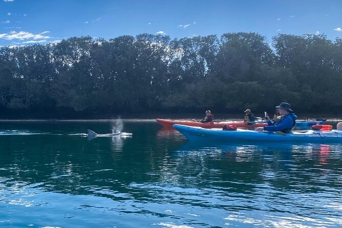 Adelaide Dolphin Sanctuary and Ships Graveyard Kayak Tour - Customer Complaints and Resolution