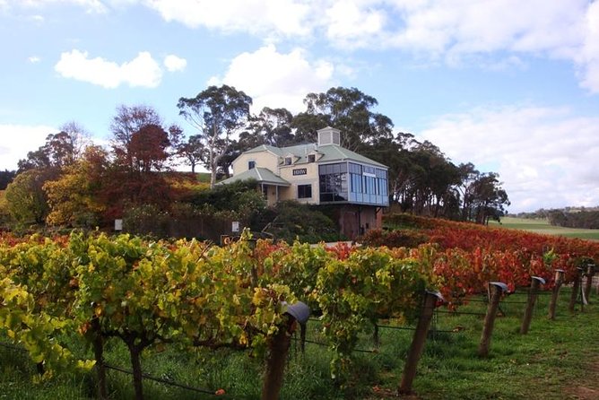 Adelaide Hills Day Tour. Winery Cellar Doors - Pickup and Drop-off Logistics
