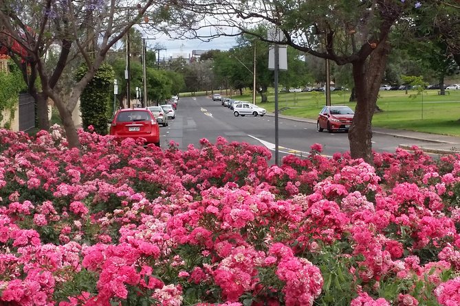 Adelaide Walking Tour: Hills, Squares and Parklands - Customer Reviews