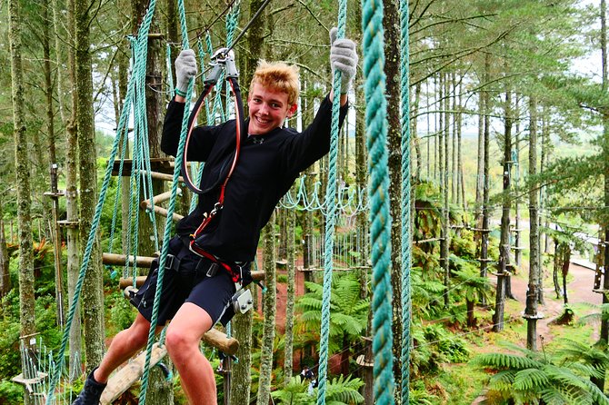 Adrenalin Forest Obstacle Course in the Bay of Plenty - Expectations and Restrictions