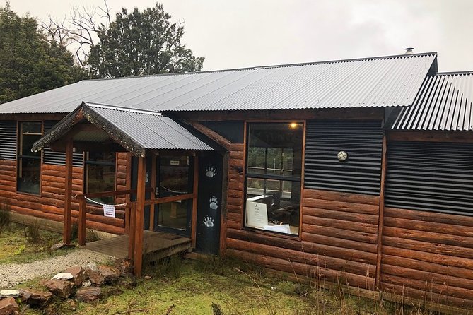 After Dark Tasmanian Devil Feeding Tour at Cradle Mountain - Logistics