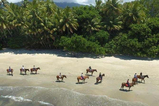 Afternoon Beach Horse Ride in Cape Tribulation - Start and End Times
