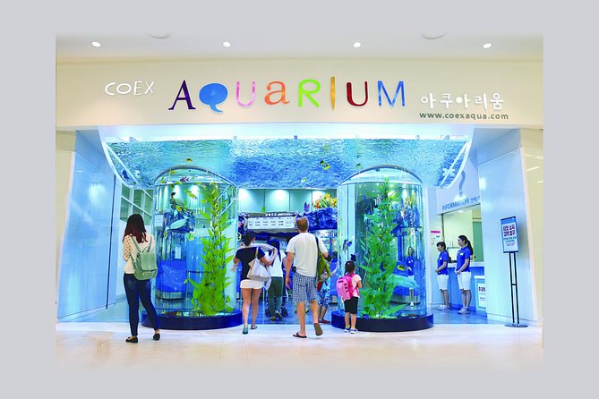 Afternoon Coex Aquarium, Han River Cruise Tour - Reviews and Rating Overview