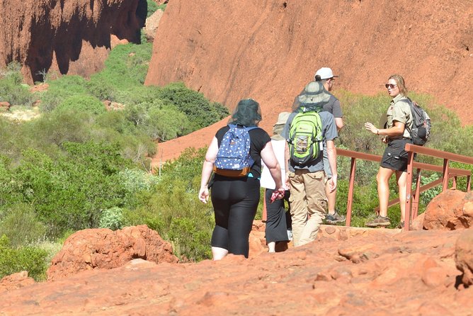 Afternoon Kata Tjuta Small Group Tour - Tour Experience