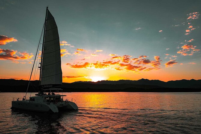 Afternoon Low Isles Snorkelling & Sunset Sail From Port Douglas - Logistics and Meeting Point