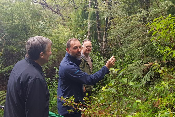 Afternoon Piha Beach and Rainforest Tour From Auckland - Piha Beach Exploration