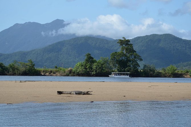 Afternoon Tour Mossman Gorge & Daintree River From Port Douglas - Customer Reviews and Feedback