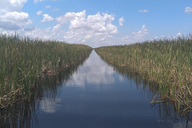 Air Boat Tour of Palm Beach in The Swamp Monster - Easy Online Booking Process